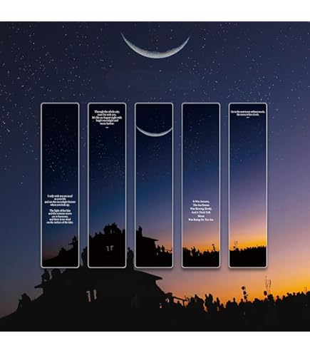 Amazon.co.jp: 込全揃13巻セット小学館CDブック クラシックイン全解説